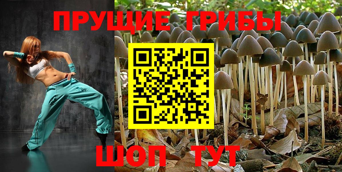Клинцы  Псилоцибиновые грибы Magic Shrooms  Вход с VPN 